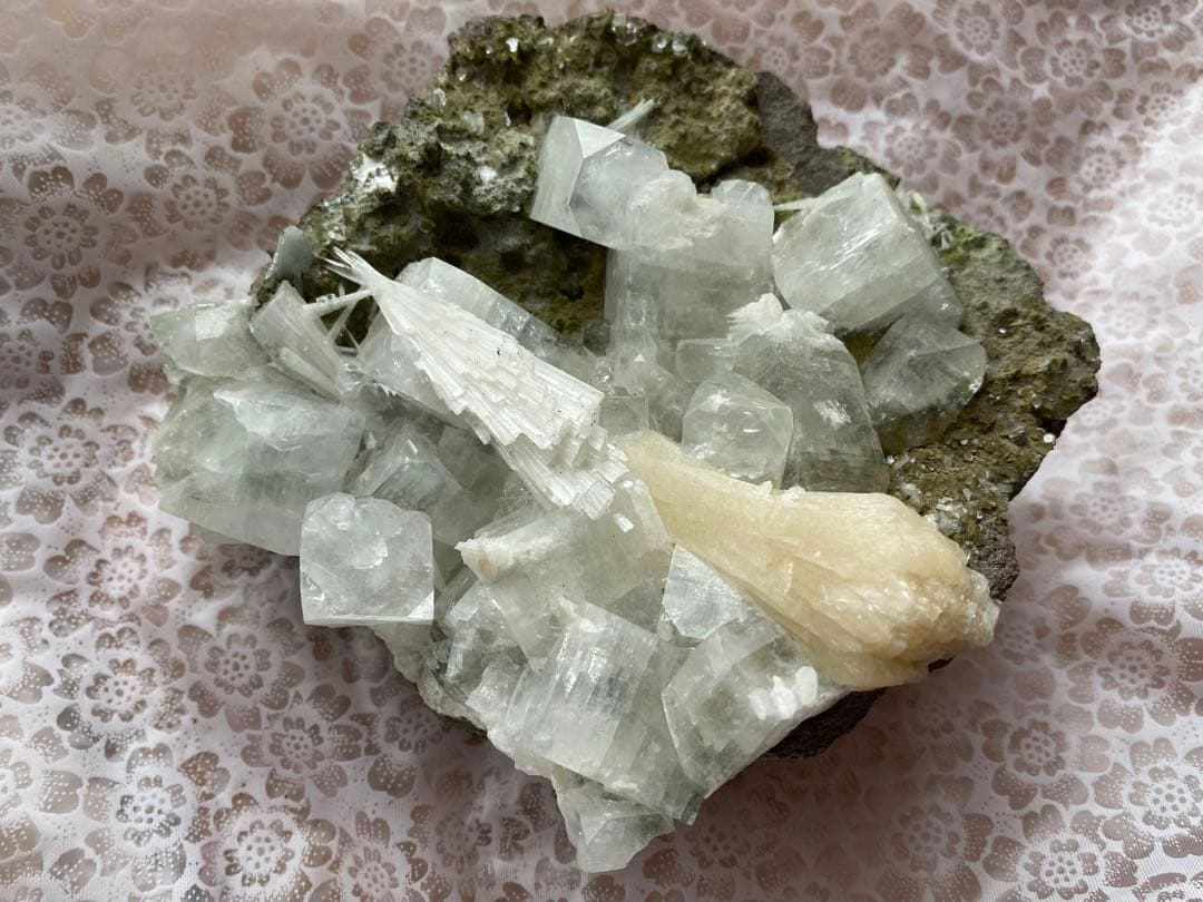 アポフィライト