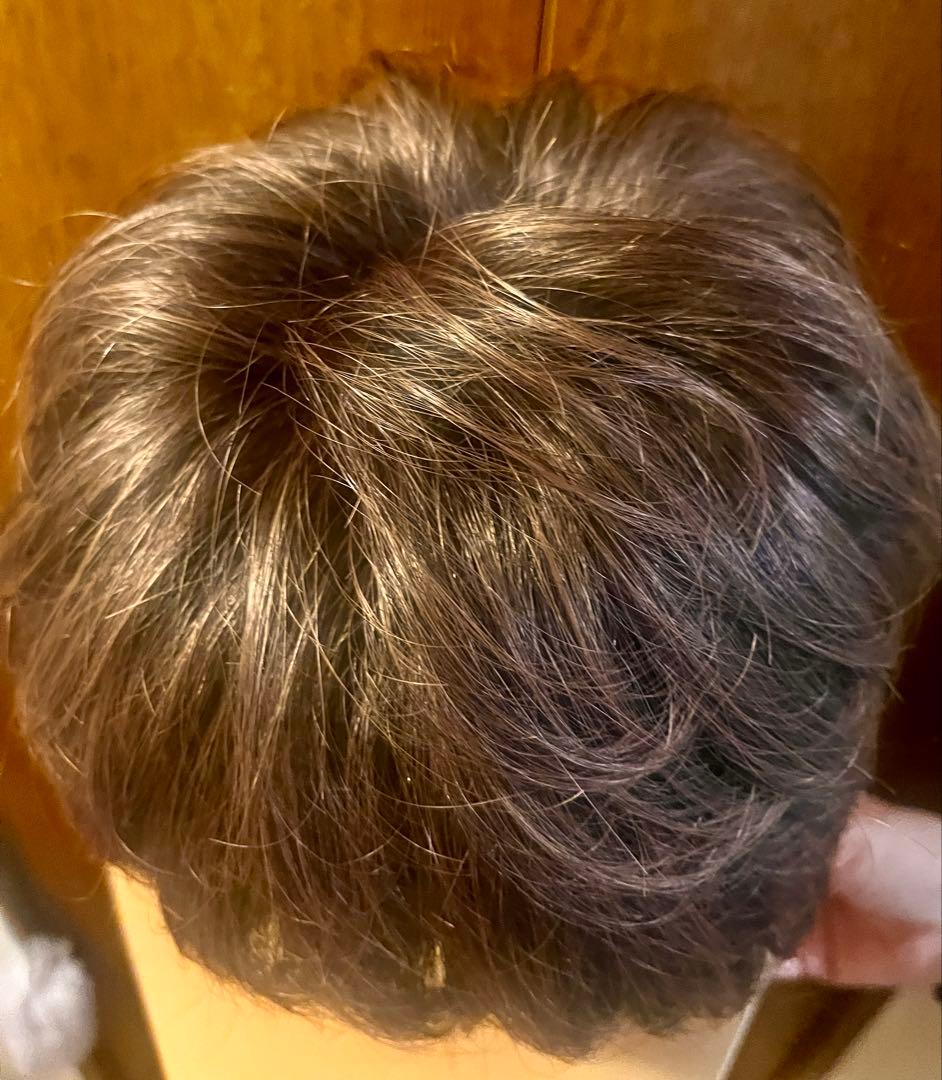 ヘアーウィッグ