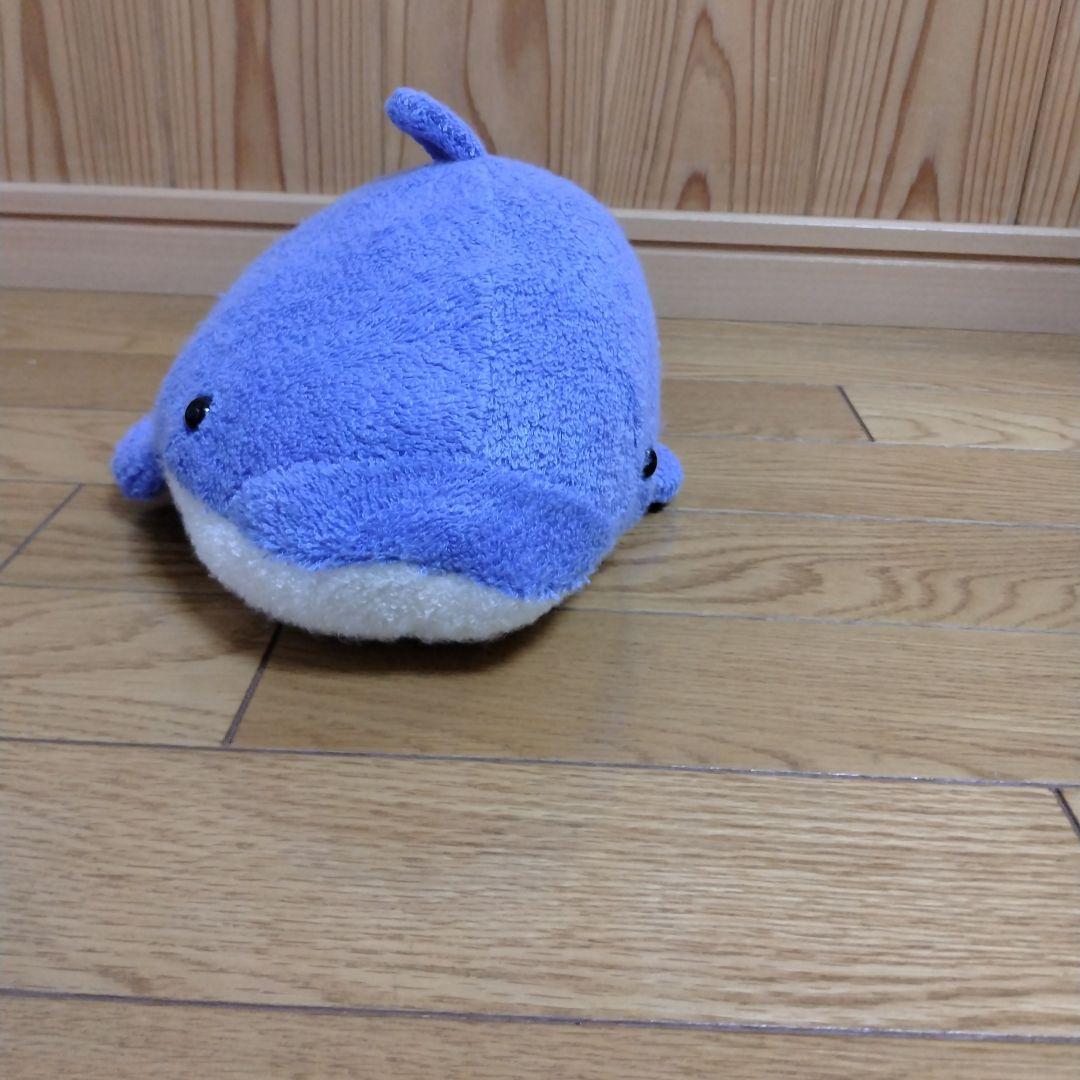 Fricca　イルカのぬいぐるみ　ましゅまろせらぴ　株式会社まつもと