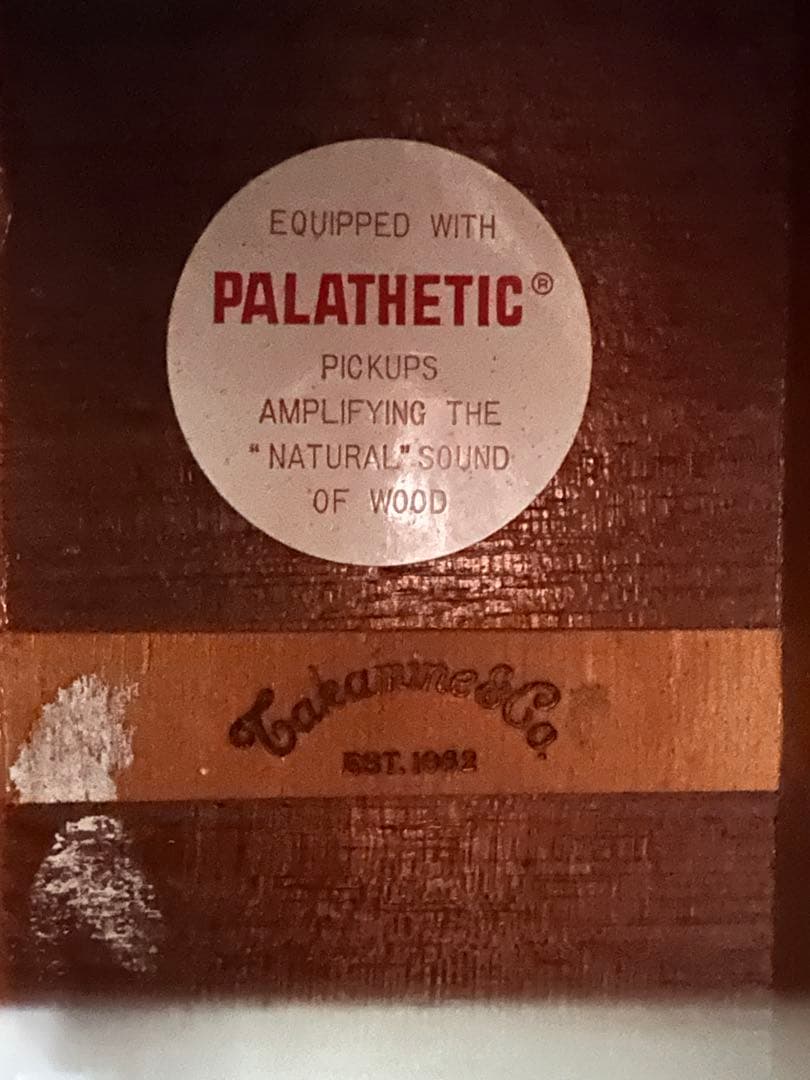 Takamine PT-05E タカミネ　大滝詠一使用モデル