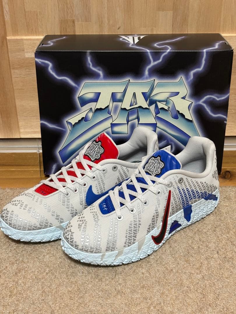 シューズ(男性用) Nike GS Ja3 \