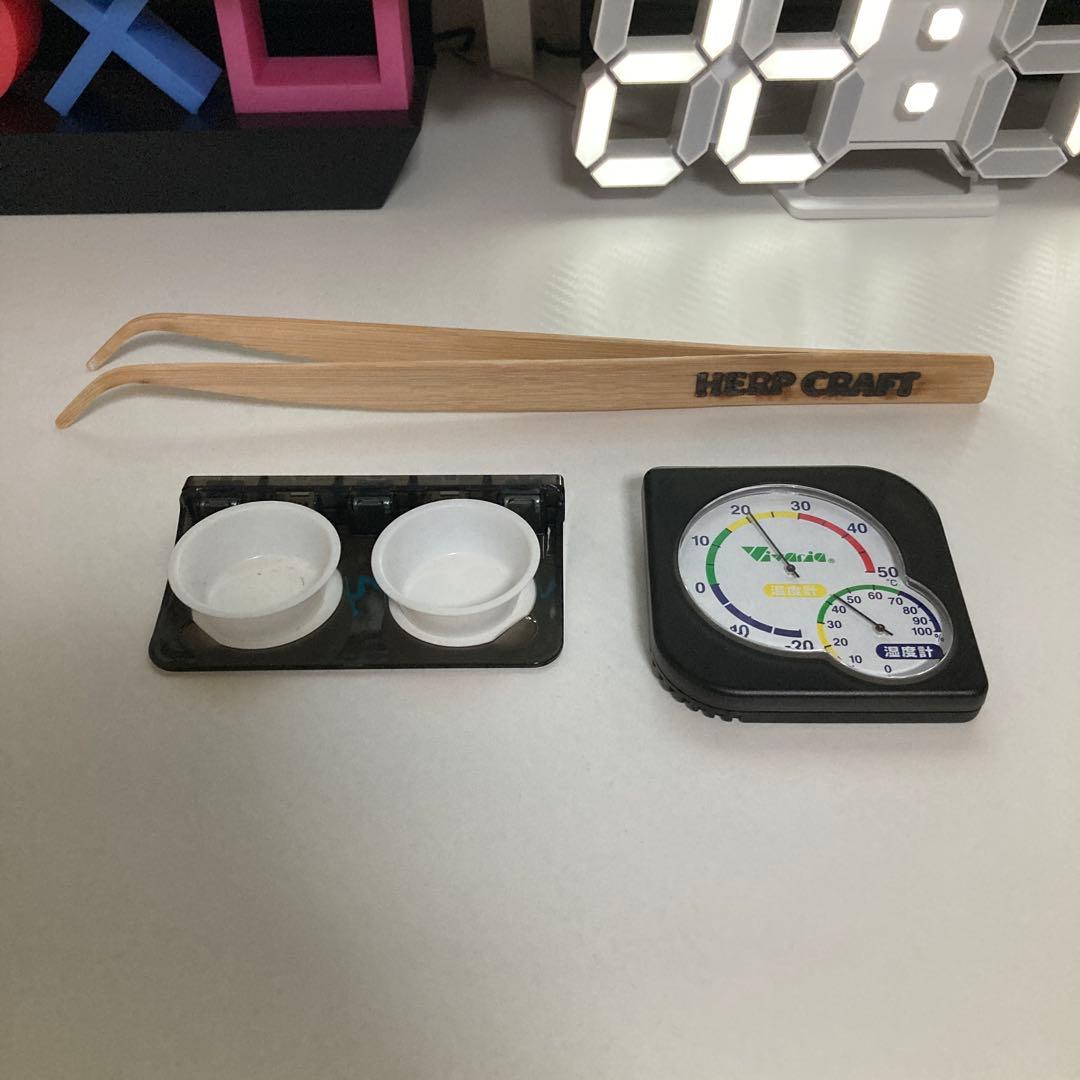 まめたろーEXO TERRA ガラステラリウム 3045 飼育セット