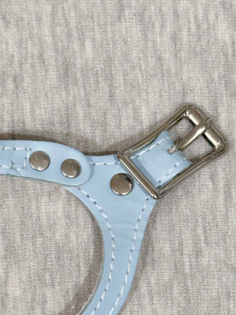 希少Buddybelts バディーベルト ベビーブルー babyblue 2.5