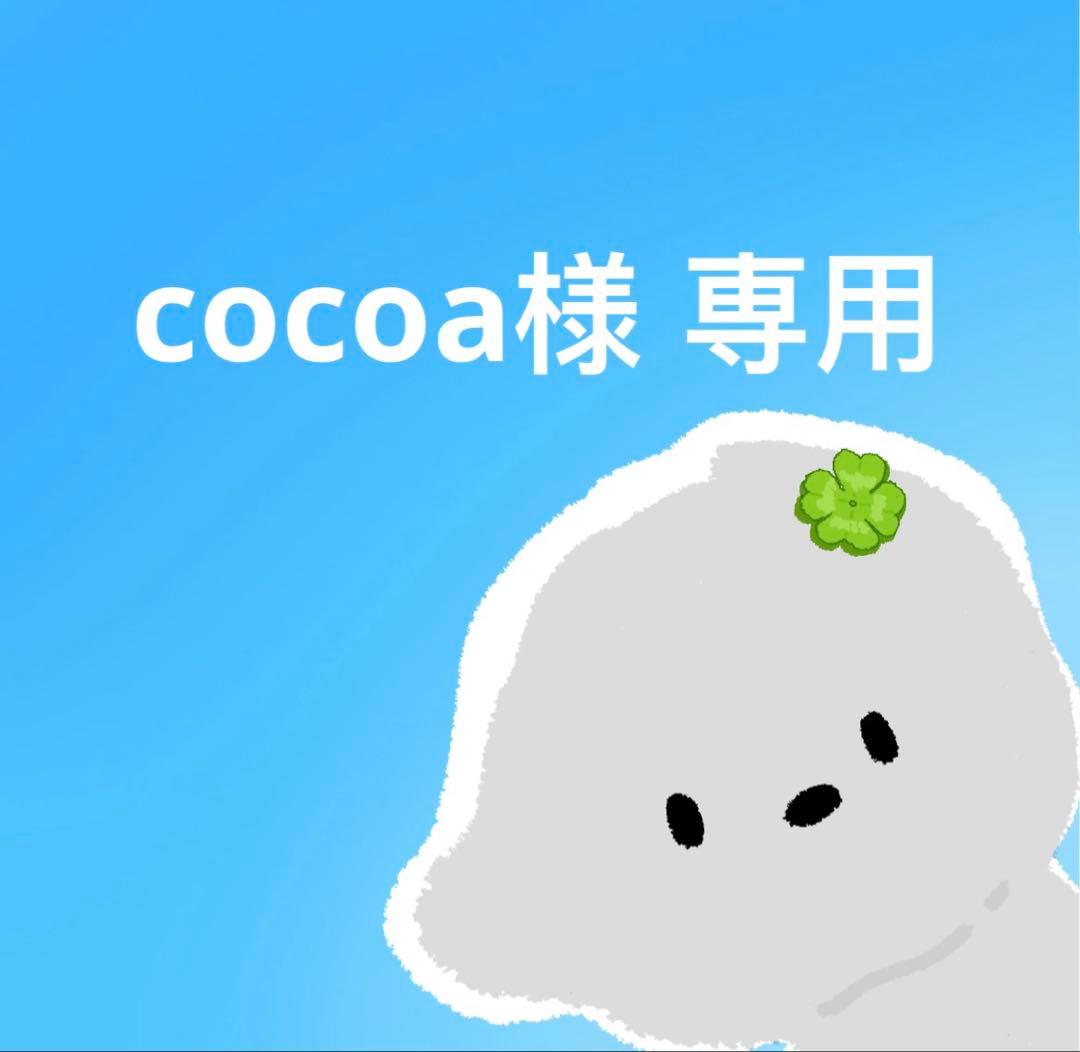 cocoa 翌日出荷