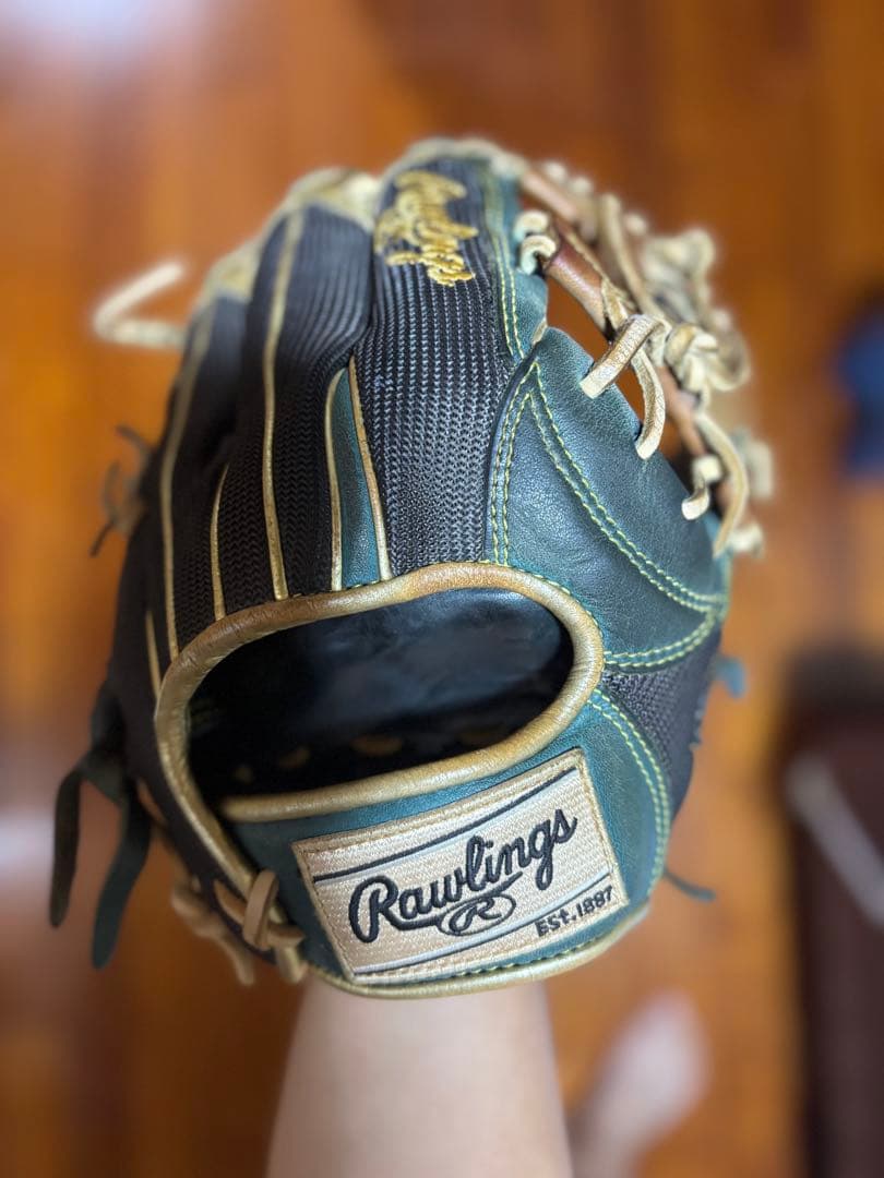 Rawlings ローリングス 野球 グローブ 大人用 内野手用
