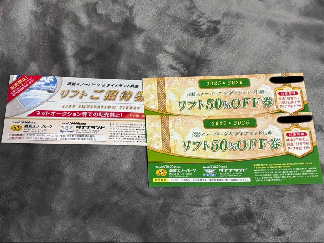 高鷲スノーパーク ダイナランド 1日券 半額券