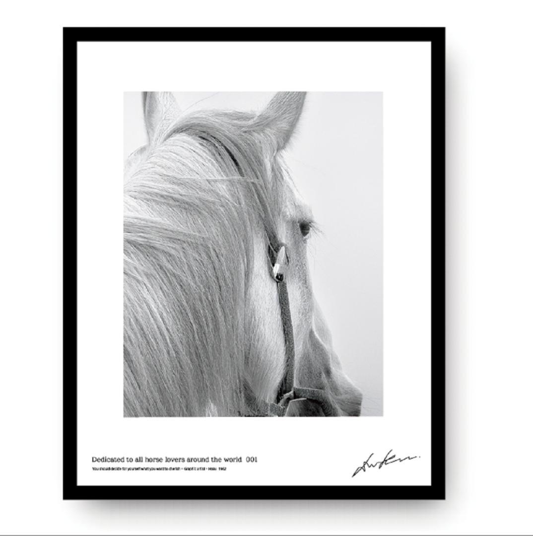 白馬／完全オリジナル・絵画のようなアートポスター　400×500