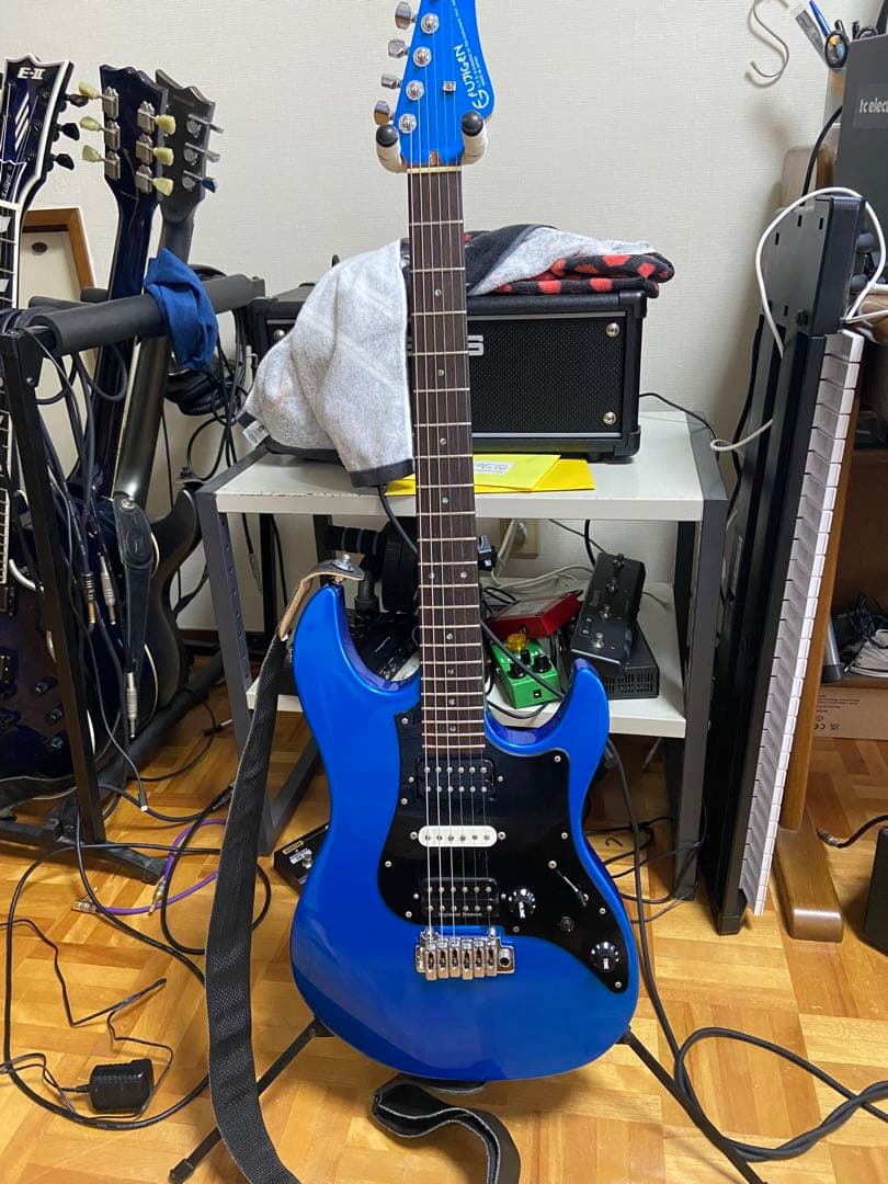 Fujigen expert os カラーオーダー