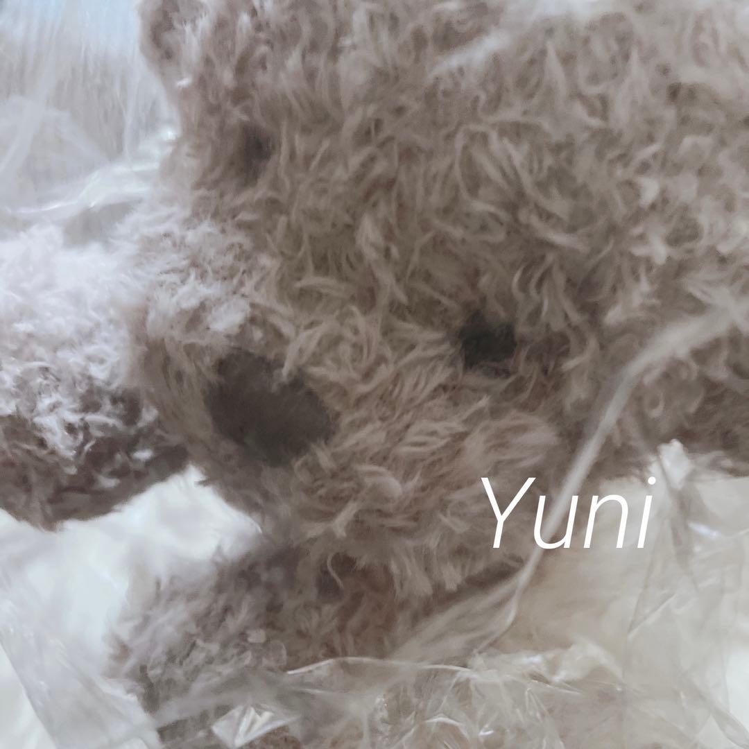 正規品♡トイプードルぬいぐるみ♡グレー