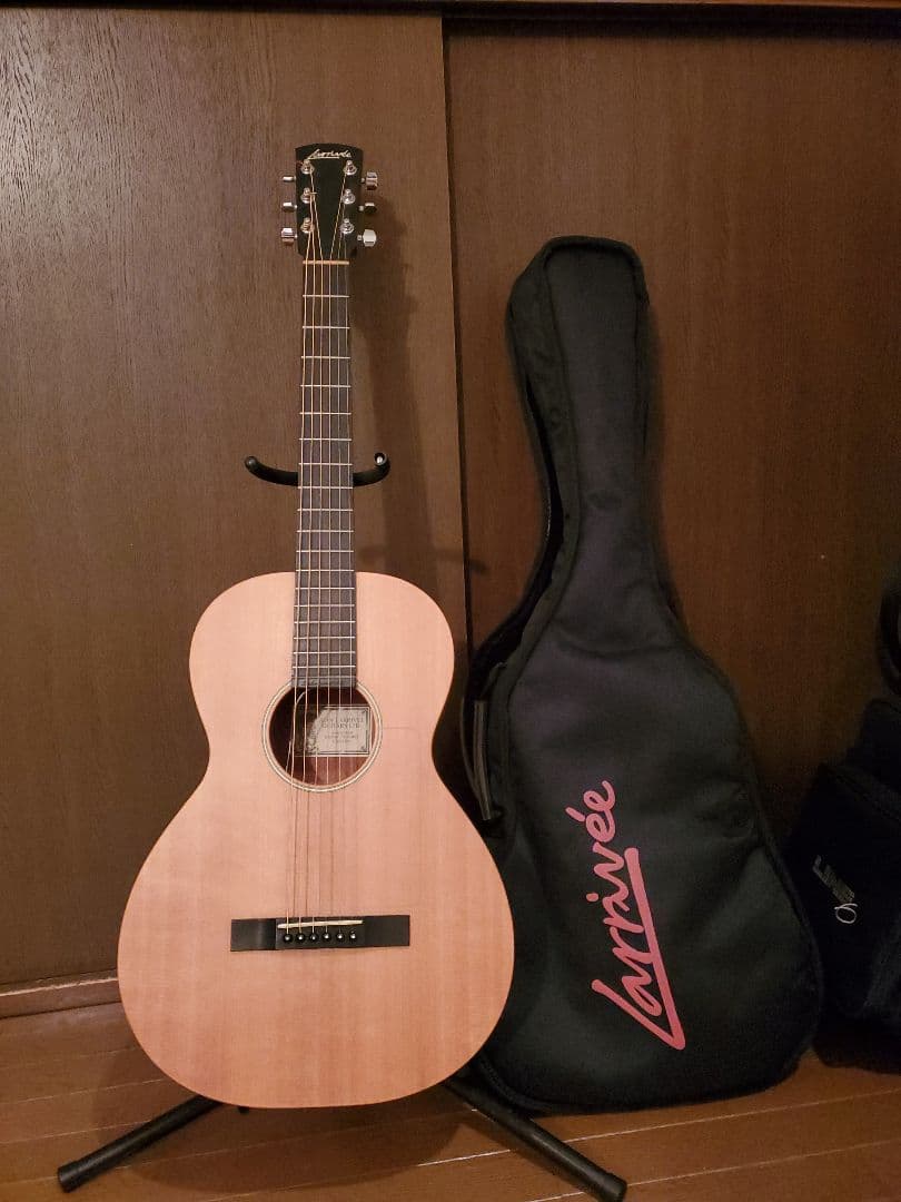 Larrivée パーラー o-01 shadow nano mag付