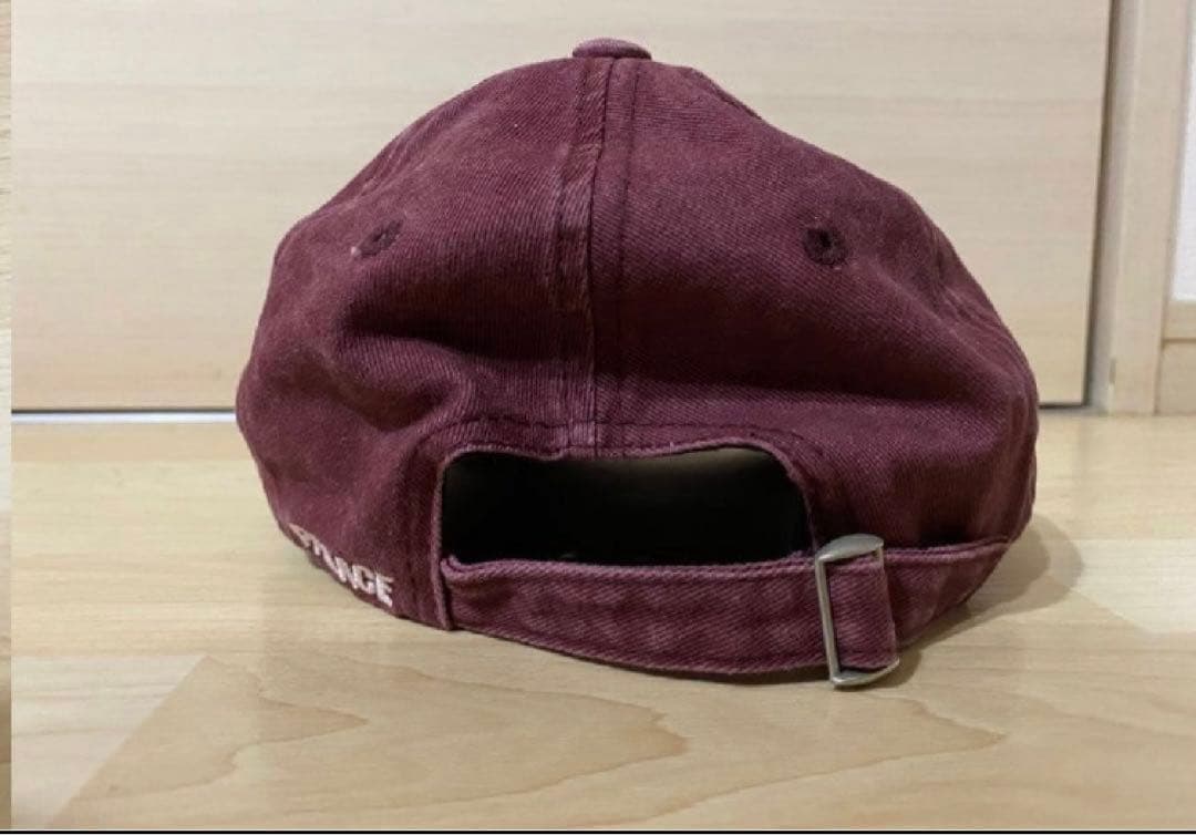 帽子 PALACE SKATEBOARDS PIGUMENT 3D P-6-PANEL