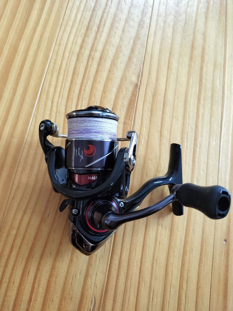 DAIWA　20 月下美人X LT1000S-P