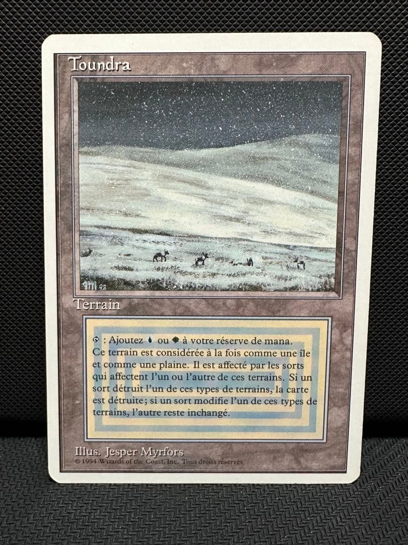 Tundra フランス語 MTG マジック・ザ・ギャザリング デュアルランド