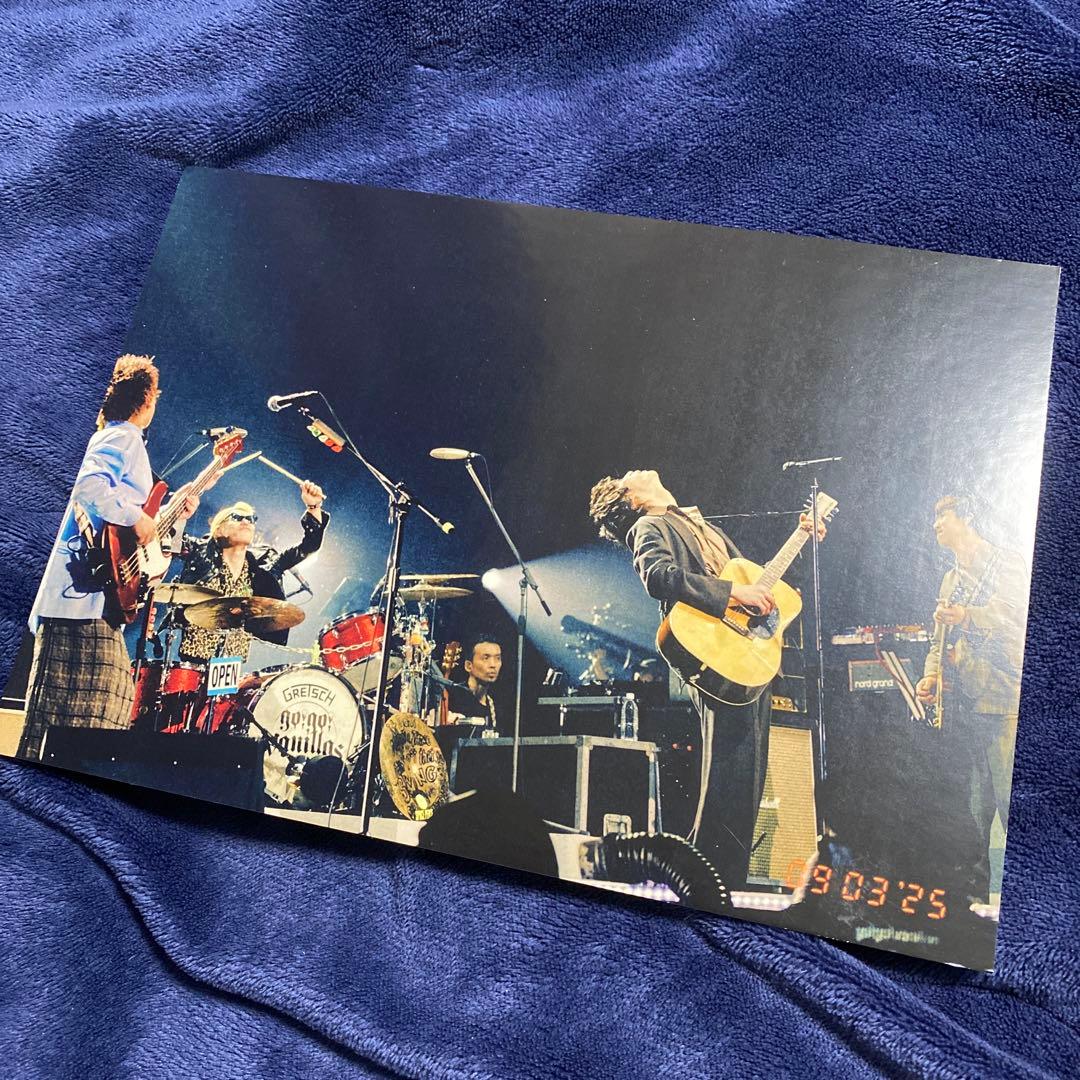 go!go!vanillas パネル 武道館