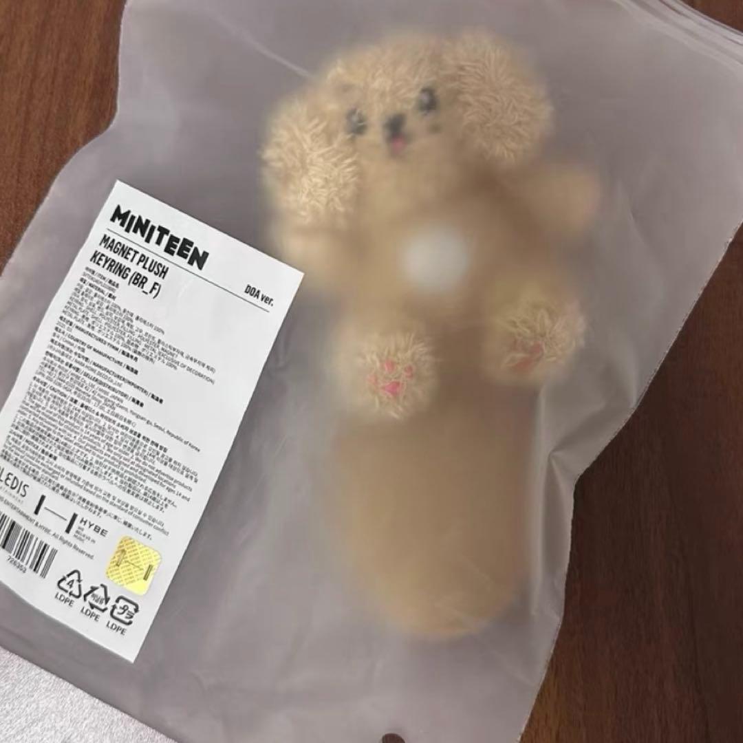 ミニティーン　ドア　キーリング　SEVENTEEN ドギョム