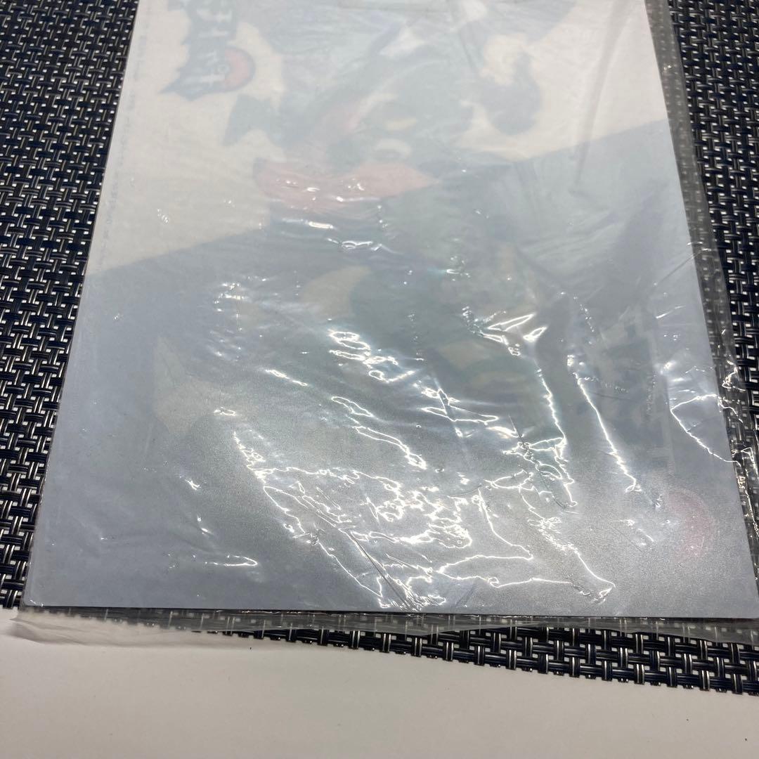 ポケットモンスター ブラック ホワイト 3D カード 下敷き a