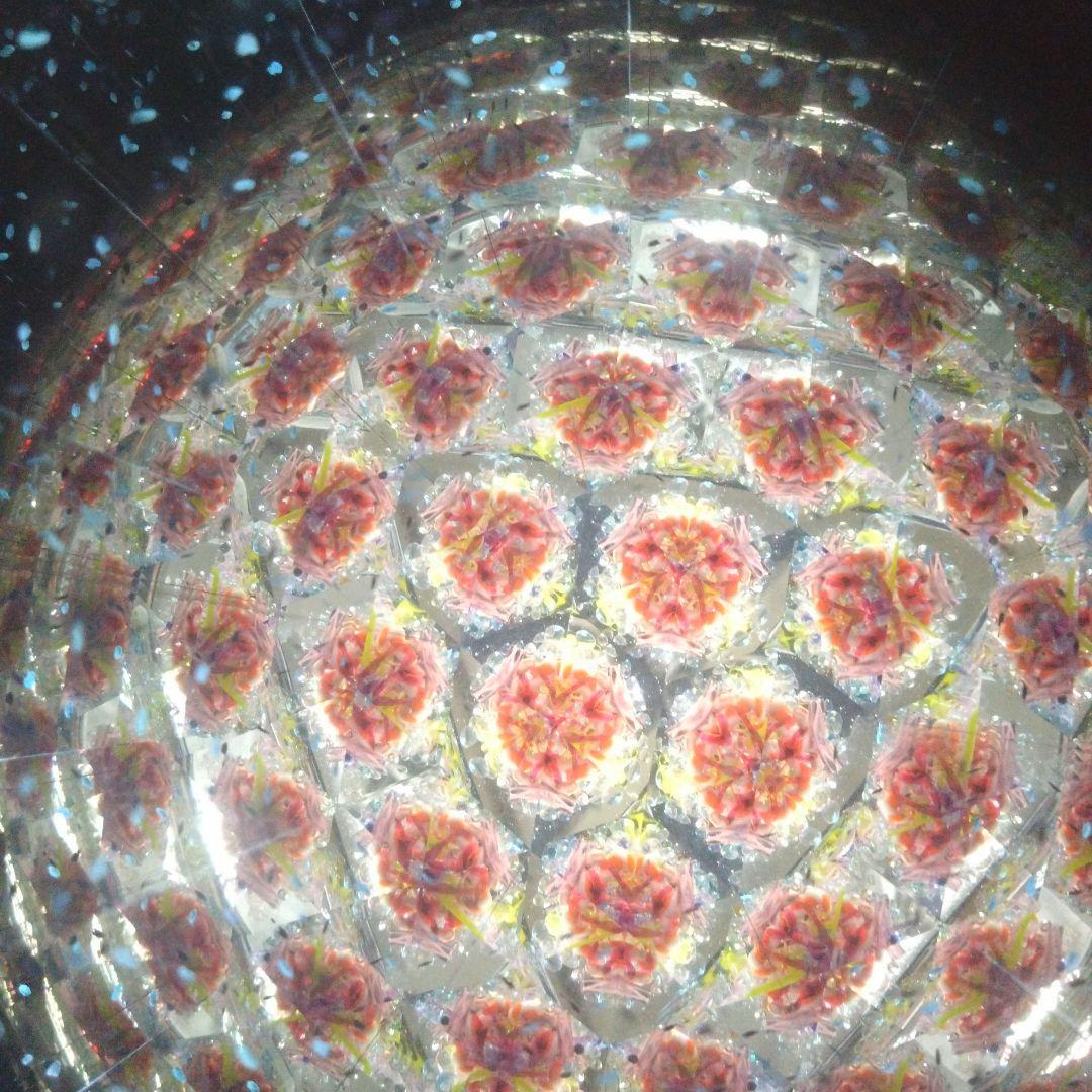 万華鏡　カレイドスコープ　オイル　天使