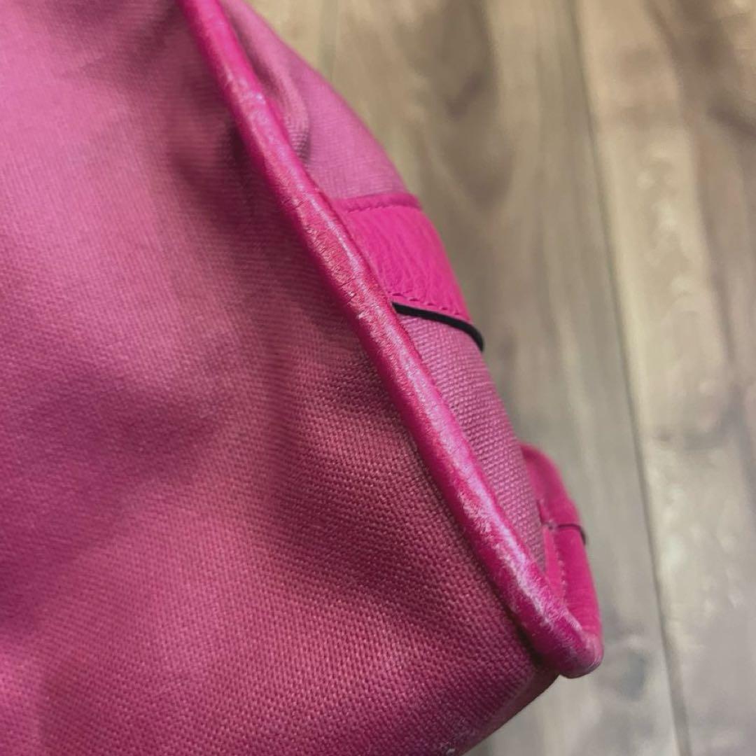 LOEWE ロエベ ハンドバッグ ピンク 鍵付き