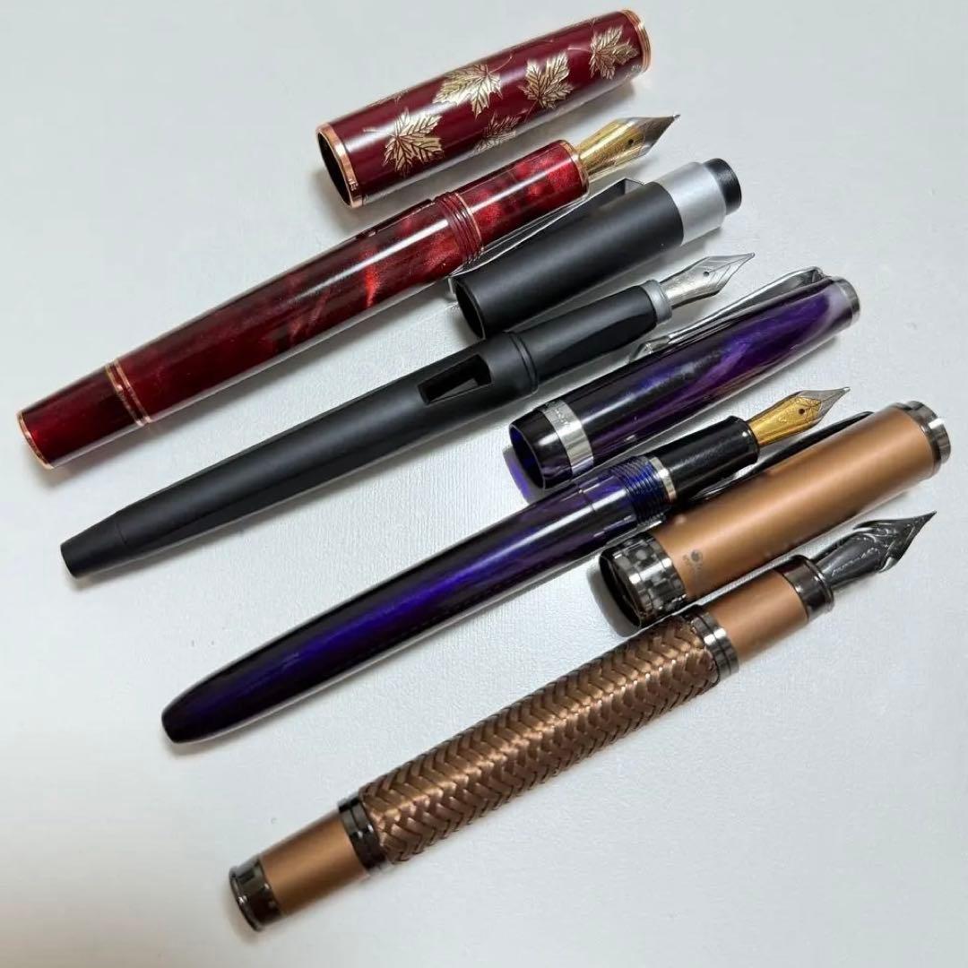 特殊な？万年筆４本セット モンテヴェルデ　オムニフレックス　長刃ペン先　ほか