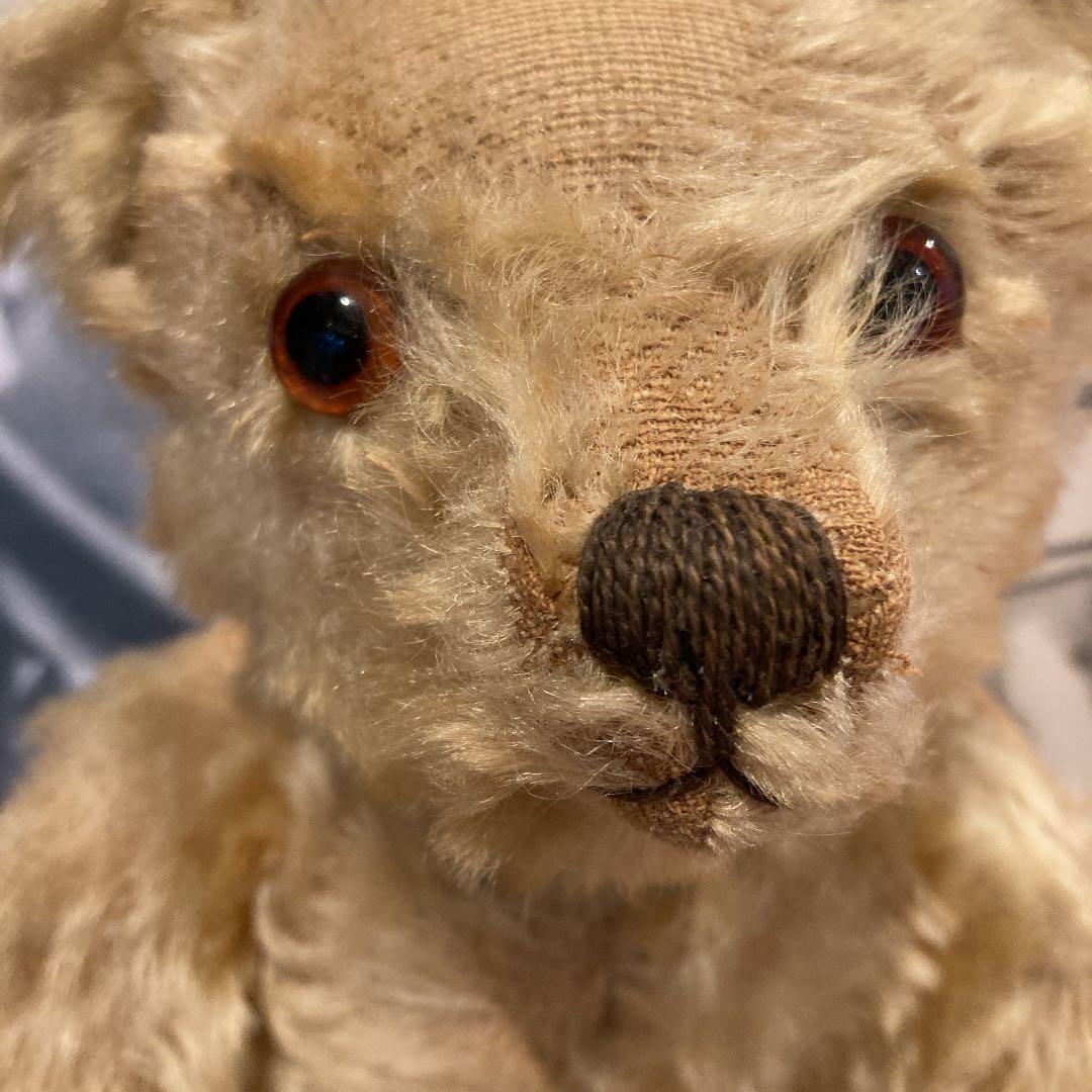 アルファートイ　テディベア