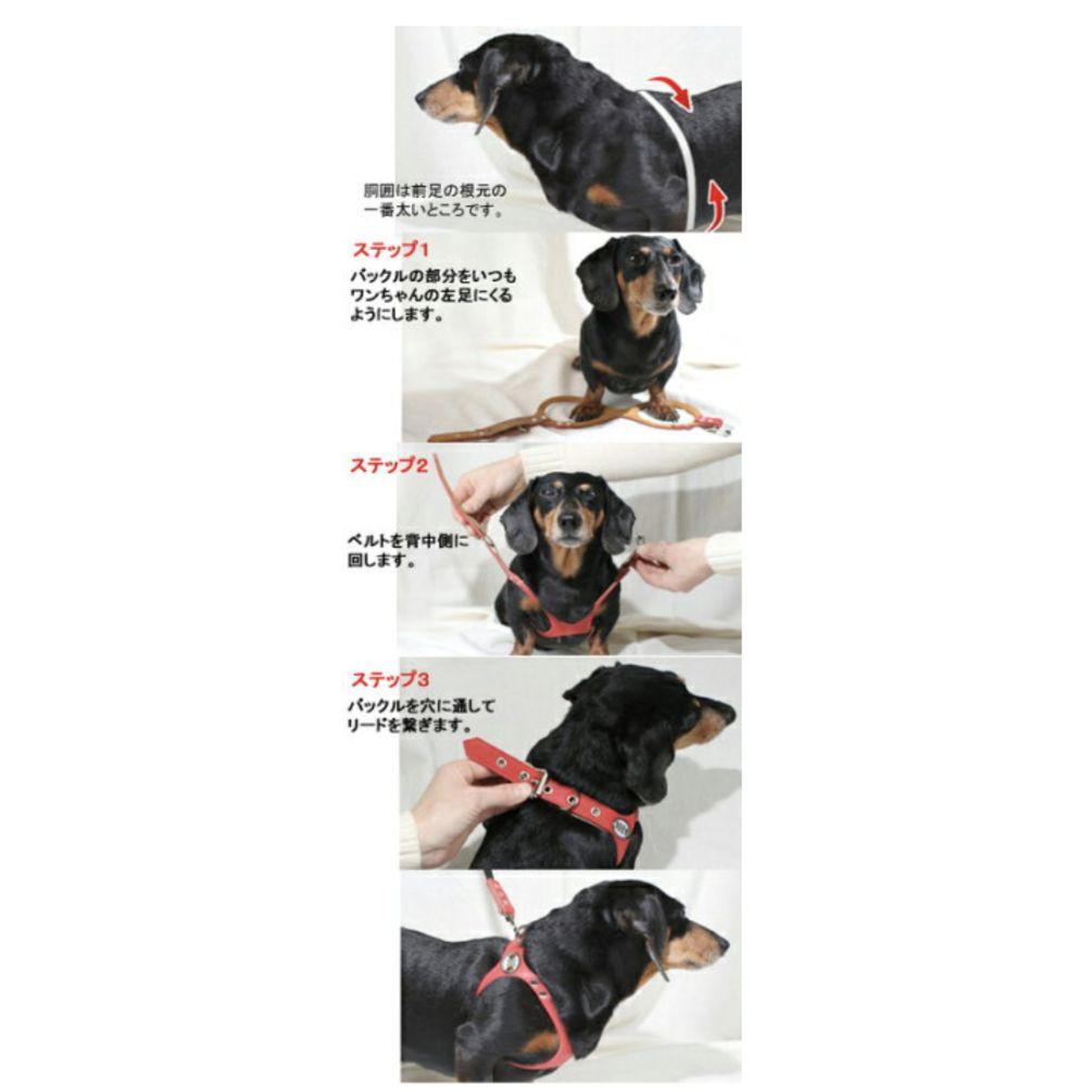 875☆ＢＢベルト バディーベルト 4.5号 キャラメル カスタマイズ