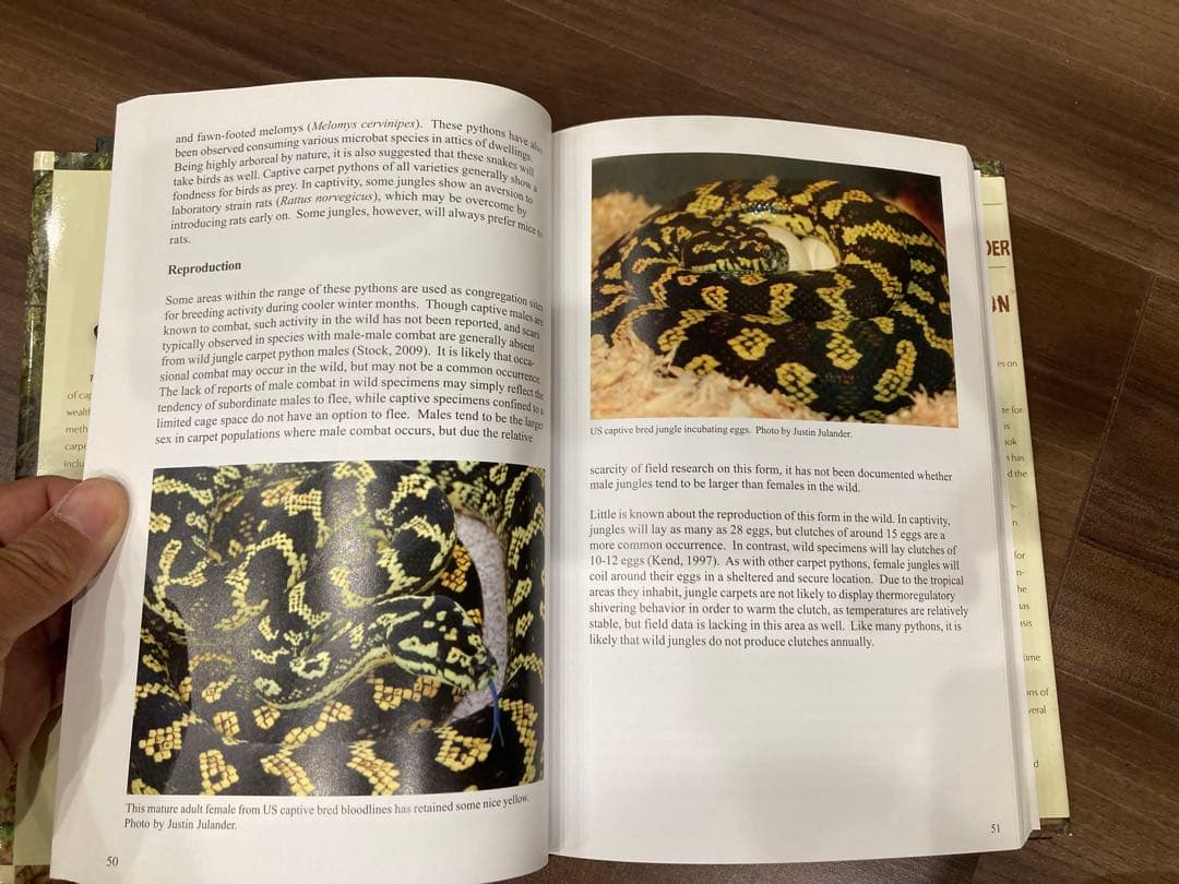 洋書 Complete Carpet Python 以下検索 蛇 パイソン ボア