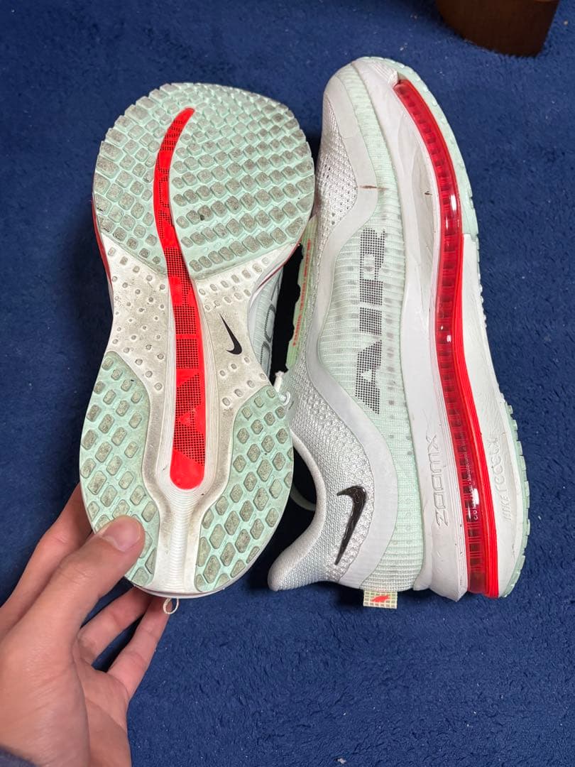 ナイキ ペガサス プレミアム25cm