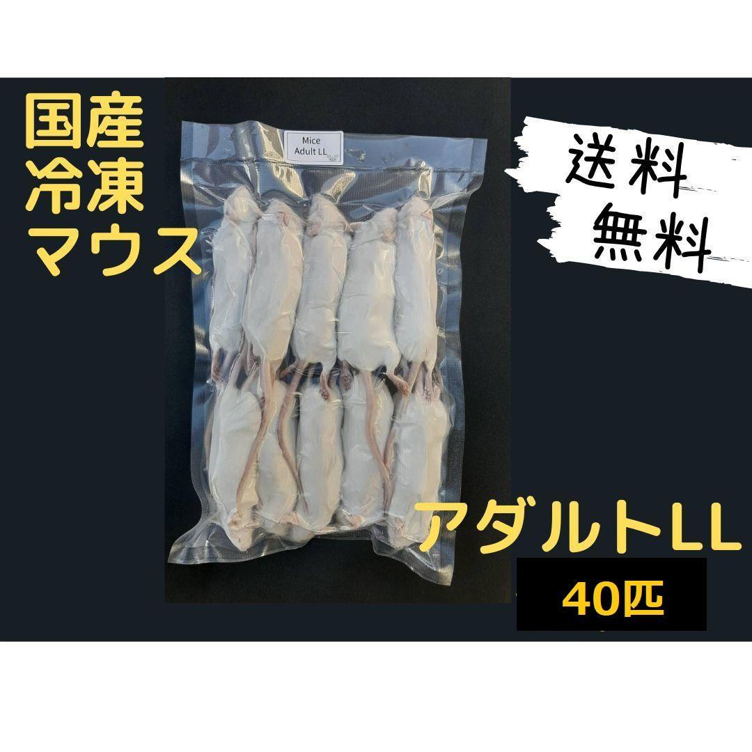 国産 冷凍マウス アダルトLL 40匹 (送料無料一部地域発送不可)