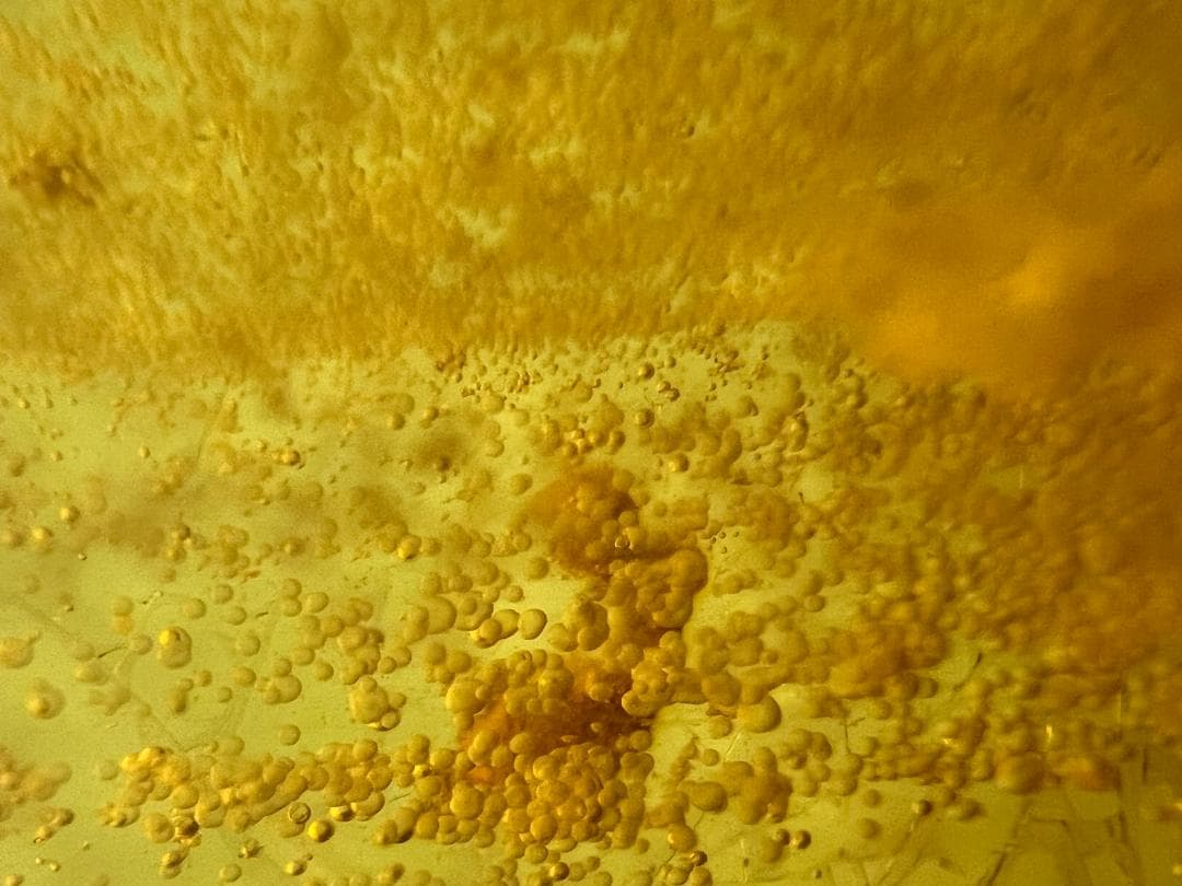 ビックサイズ　虫入り琥珀　大量な気泡を内包　バルティックアンバー　バルト海沿岸