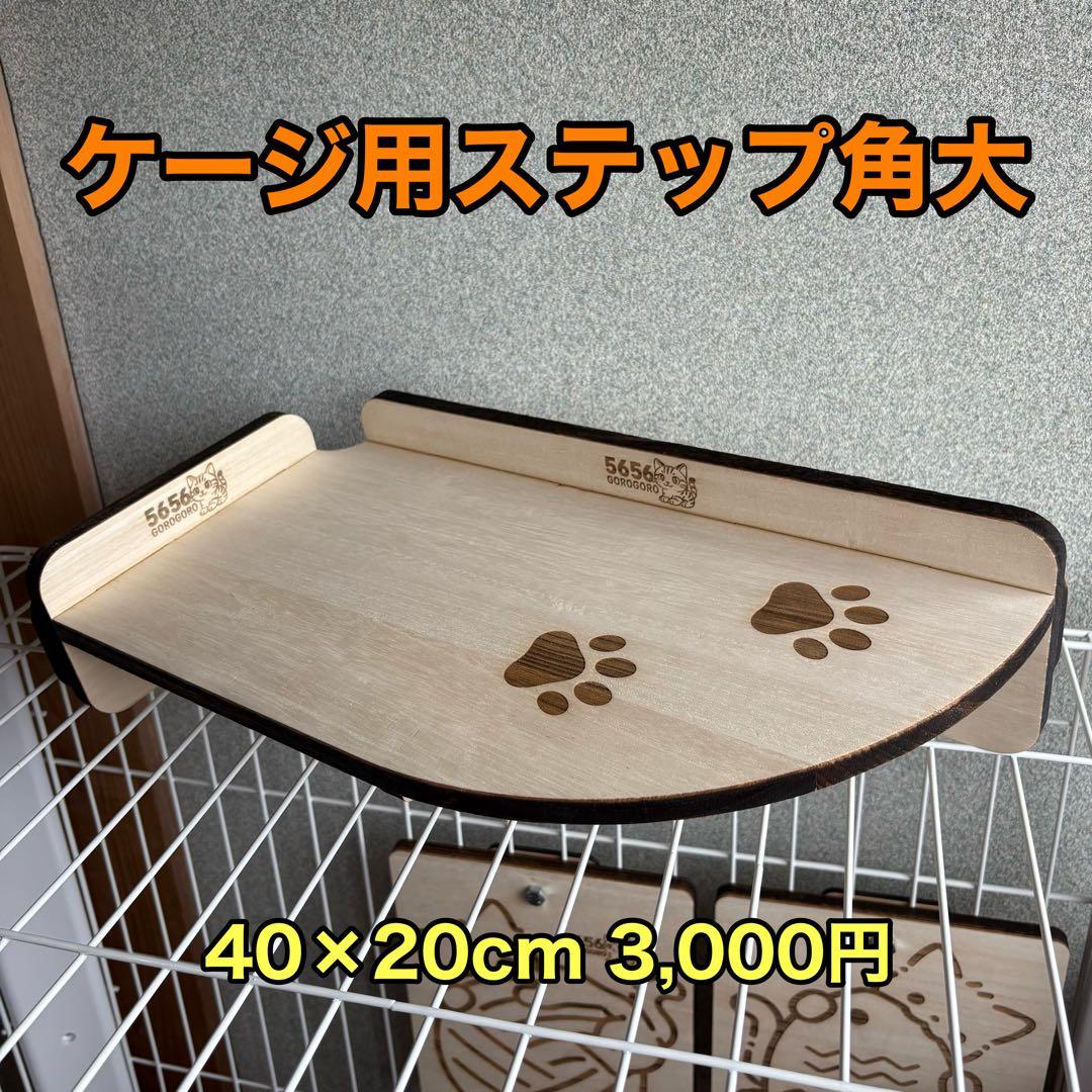 にゃー出品
