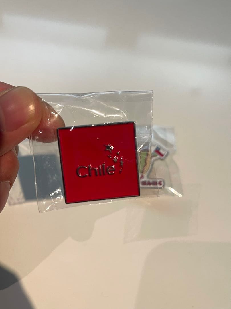 EXPO 2025 万博非売品ピンバッジセット（チリ×日本）