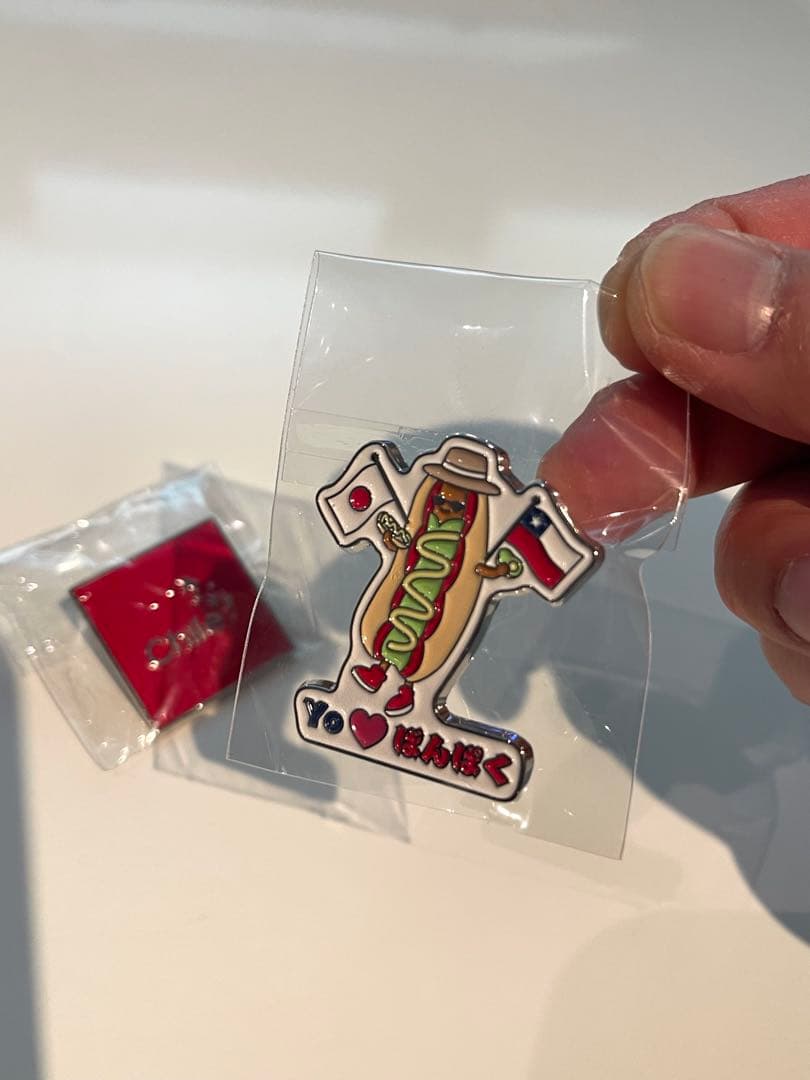 EXPO 2025 万博非売品ピンバッジセット（チリ×日本）