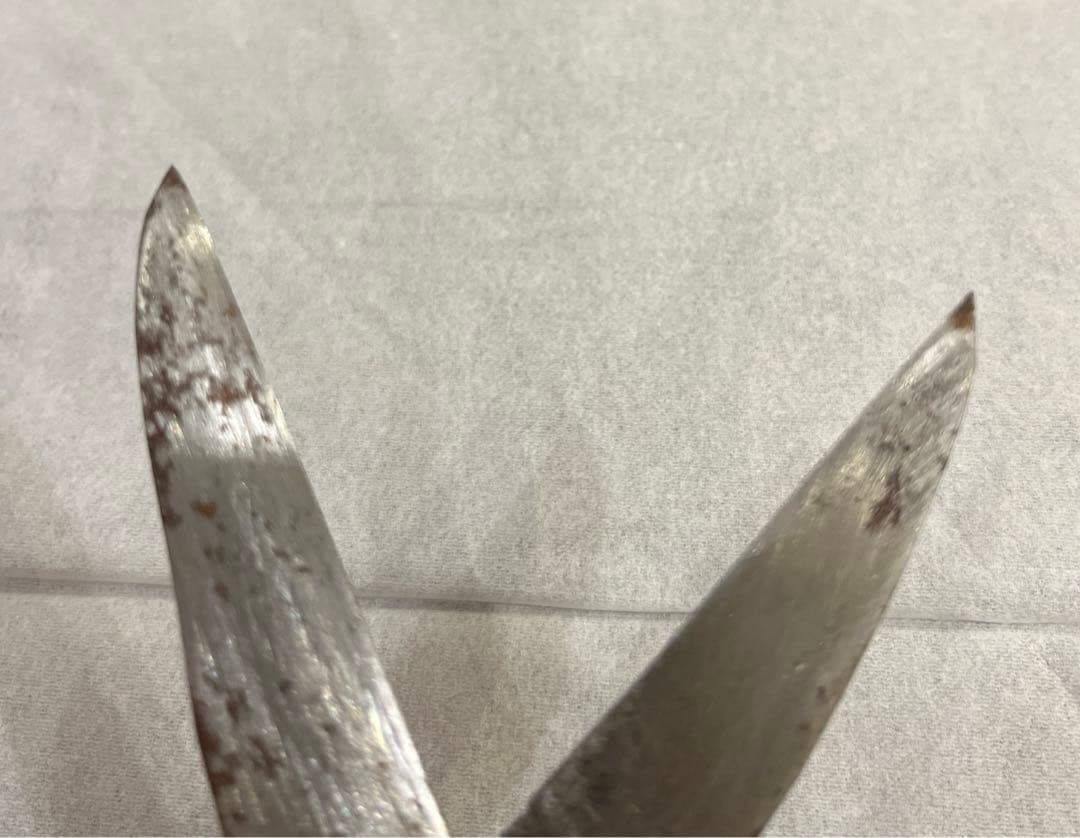 種子鋏　本種子鋏　骨董　ヴィンテージ　アンティーク　ハサミ　はさみ　レトロ