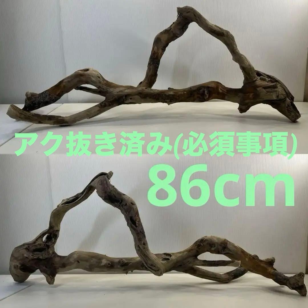 k36特大流木 アク抜き済み 爬虫類シェルター レイアウト用 登り木 インテリア