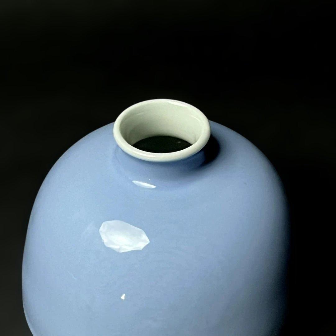 唐物 天青釉暗刻龍紋太白尊 大清康煕年製 款 中国美術 古玩 SH27