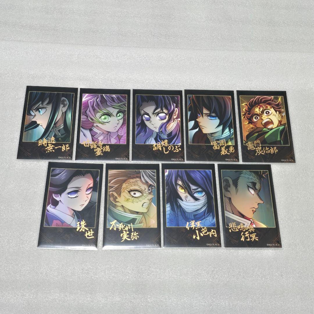 鬼滅の刃 無限城編 ティザービジュアル ランダムチェキ風ブロマイド コンプ