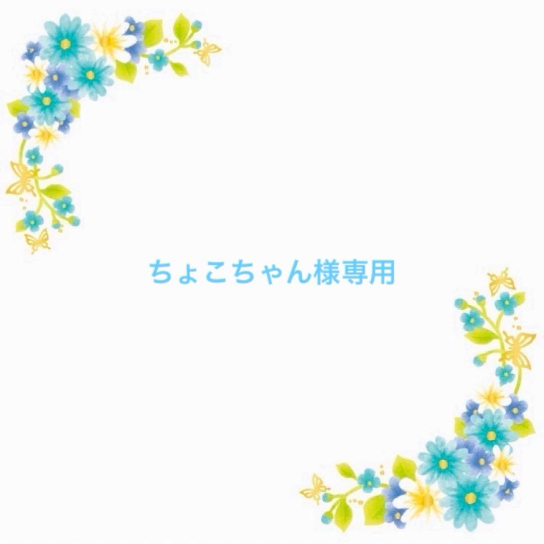 ちょこちゃんページです♡