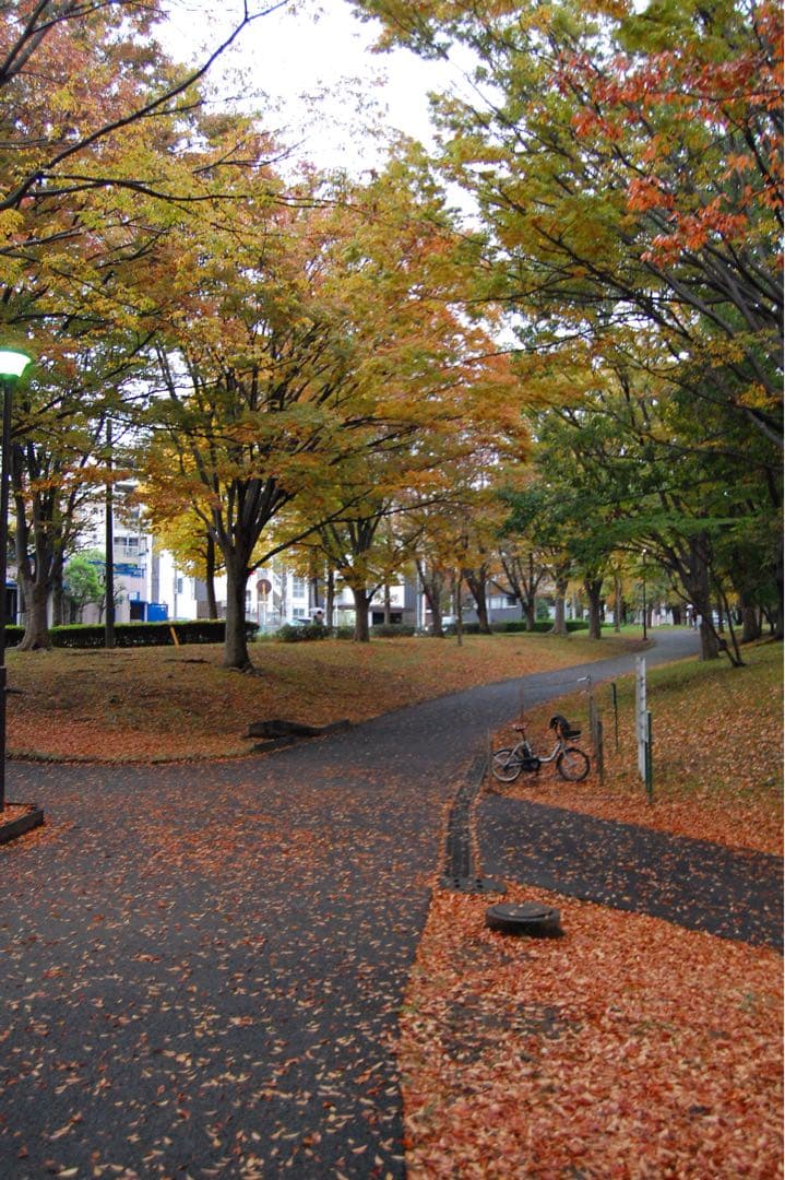 Nikon D40 ダブルズーム　SDカードリーダー付(シャッター回数3082)