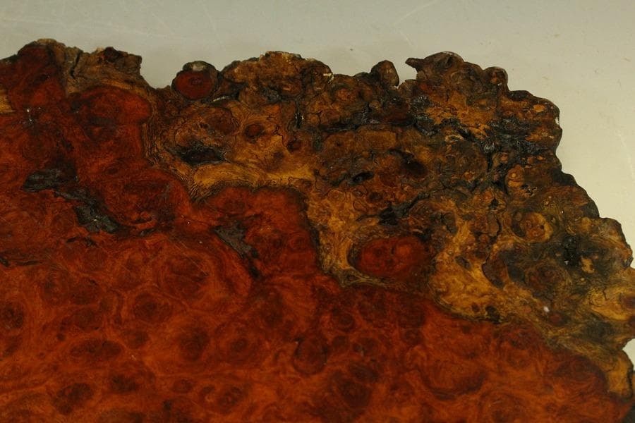 葡萄木 自然木 瘤 敷板 78cm×56cm 花梨 紅木 銘木(A466)