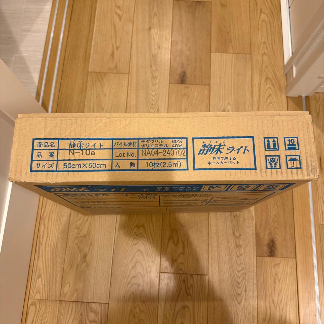 静床ライト N-10a オフホワイト 未使用