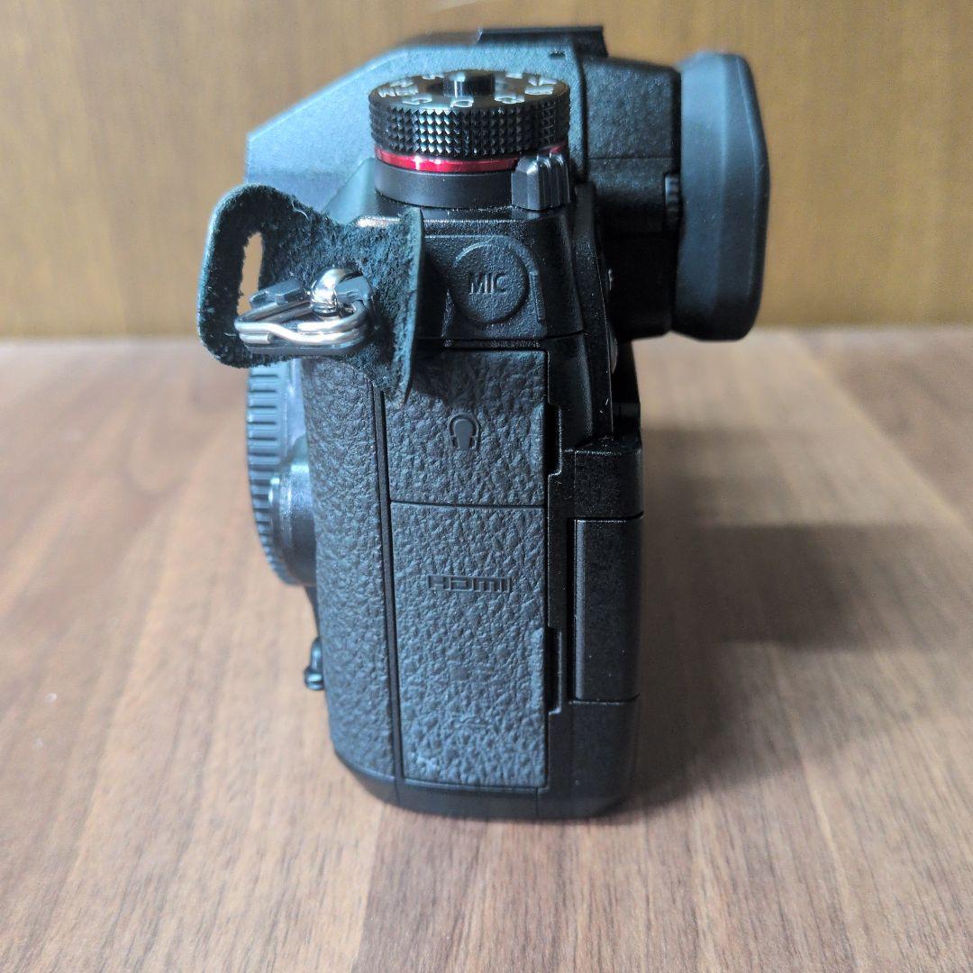 LUMIX G9 ミラーレス一眼カメラ 本体