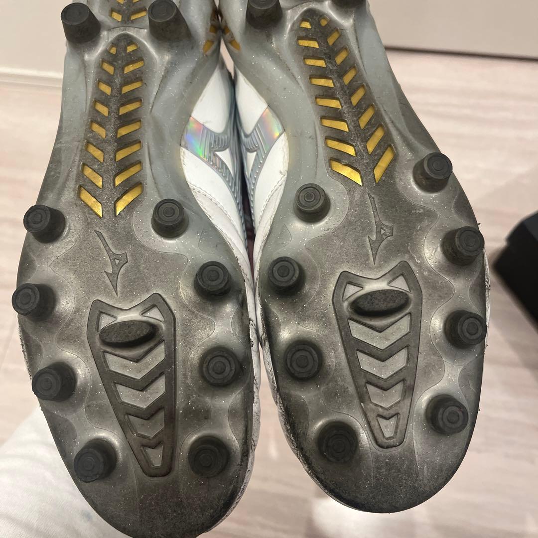 モレリアネオ　25.5