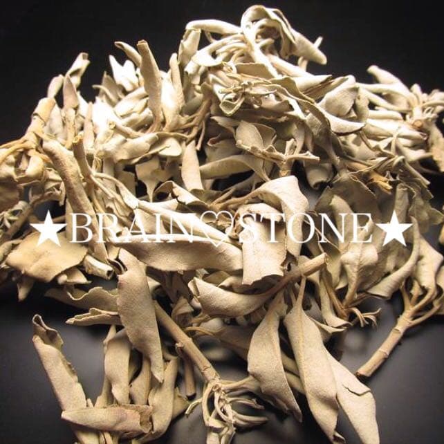 ★限定特選品★無農薬カリフォルニア産【５０g 高品質ホワイトセージ】❤️