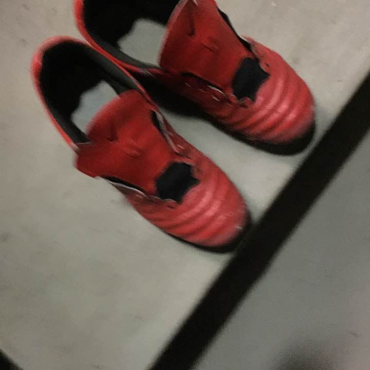 スーパーディゲラ