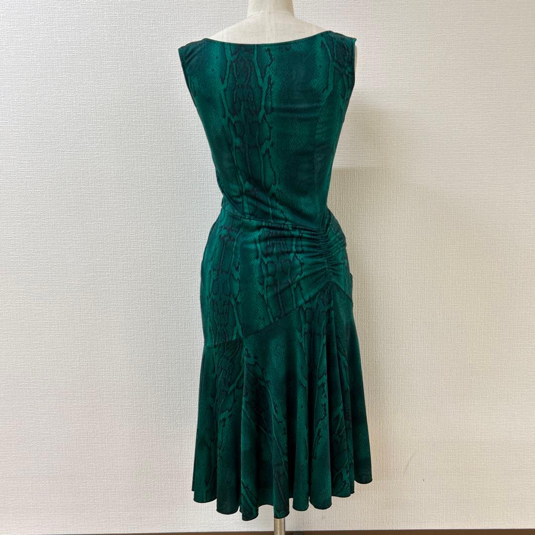 チャコット社交ダンスラテンワンピース緑ヘビ柄