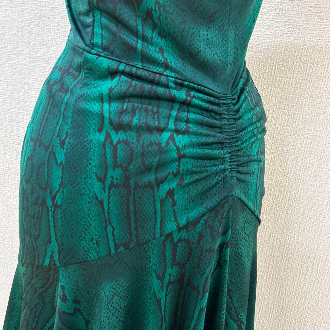 チャコット社交ダンスラテンワンピース緑ヘビ柄