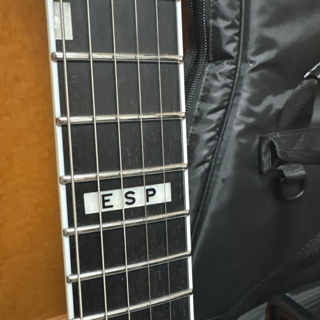 ギター ESP E-II Horizon NT-II