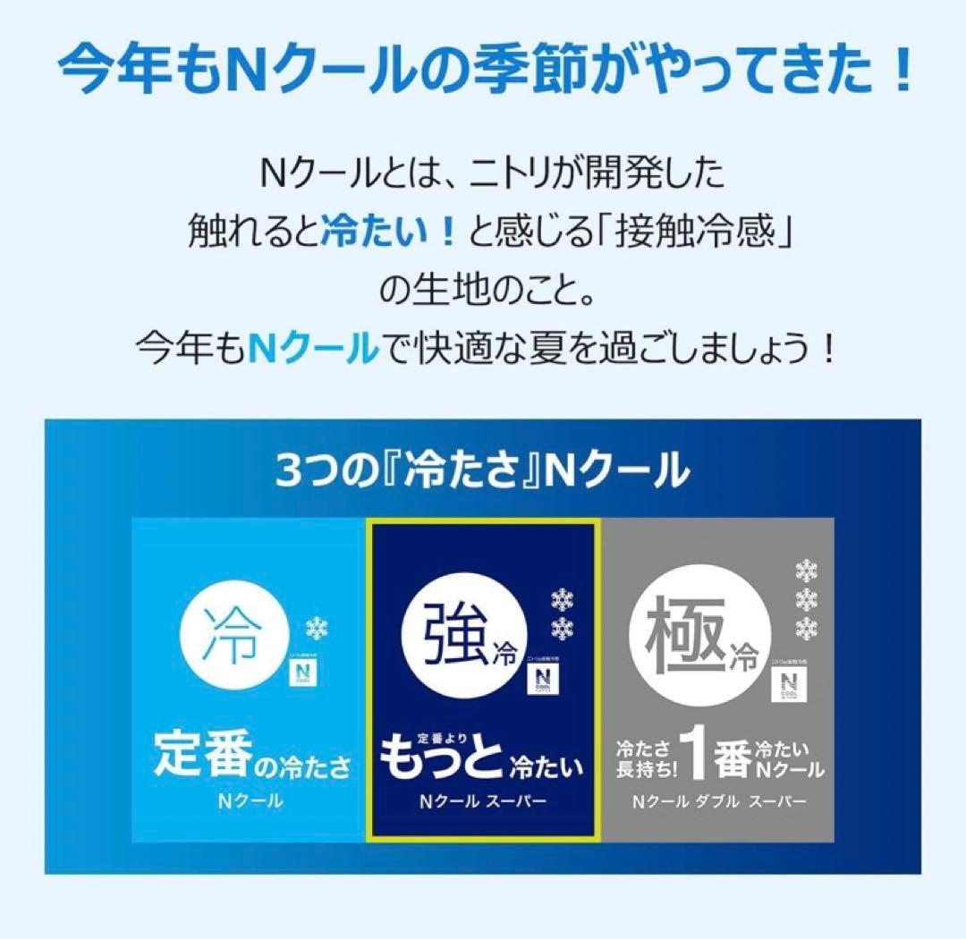 30mmウレタン入り接触冷感＋防音ラグ 185X240cm NクールSP ニトリ