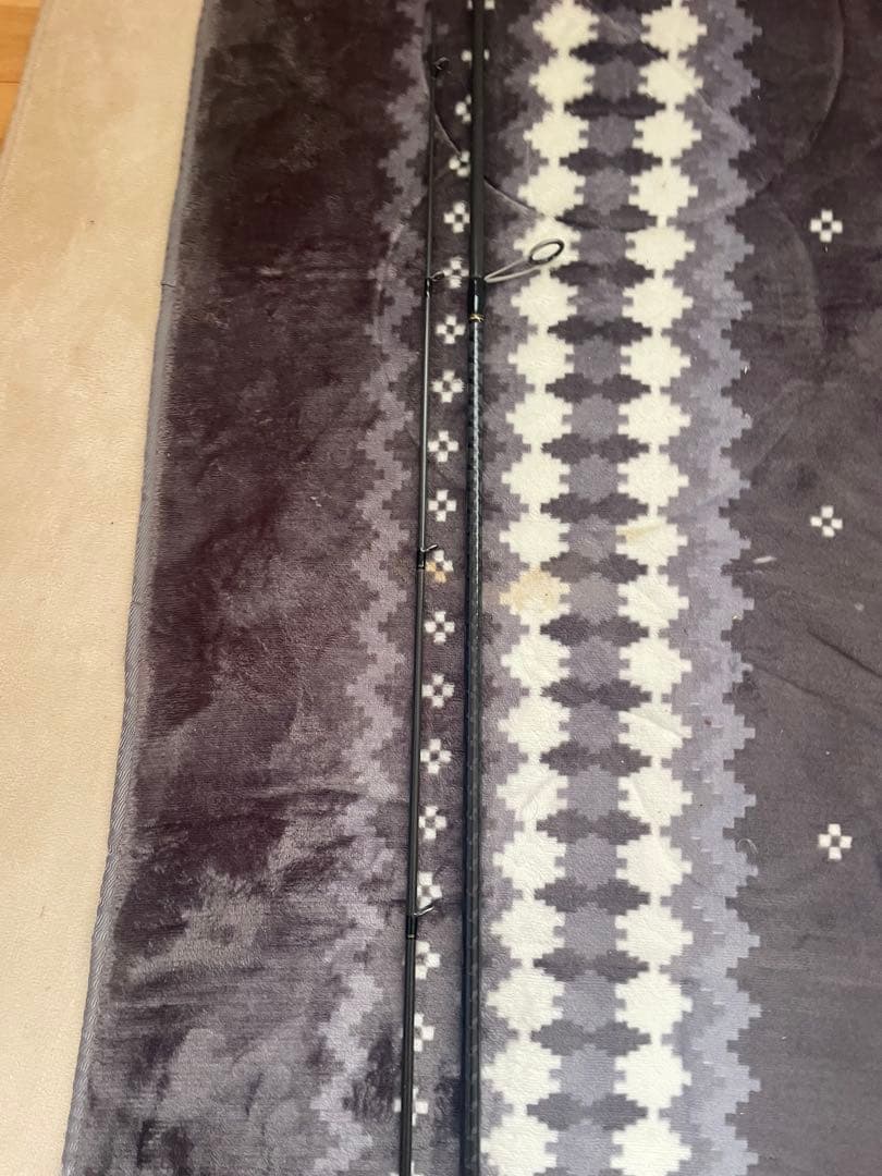 ロッド DAIWA SEABASS HUNTER X 106M