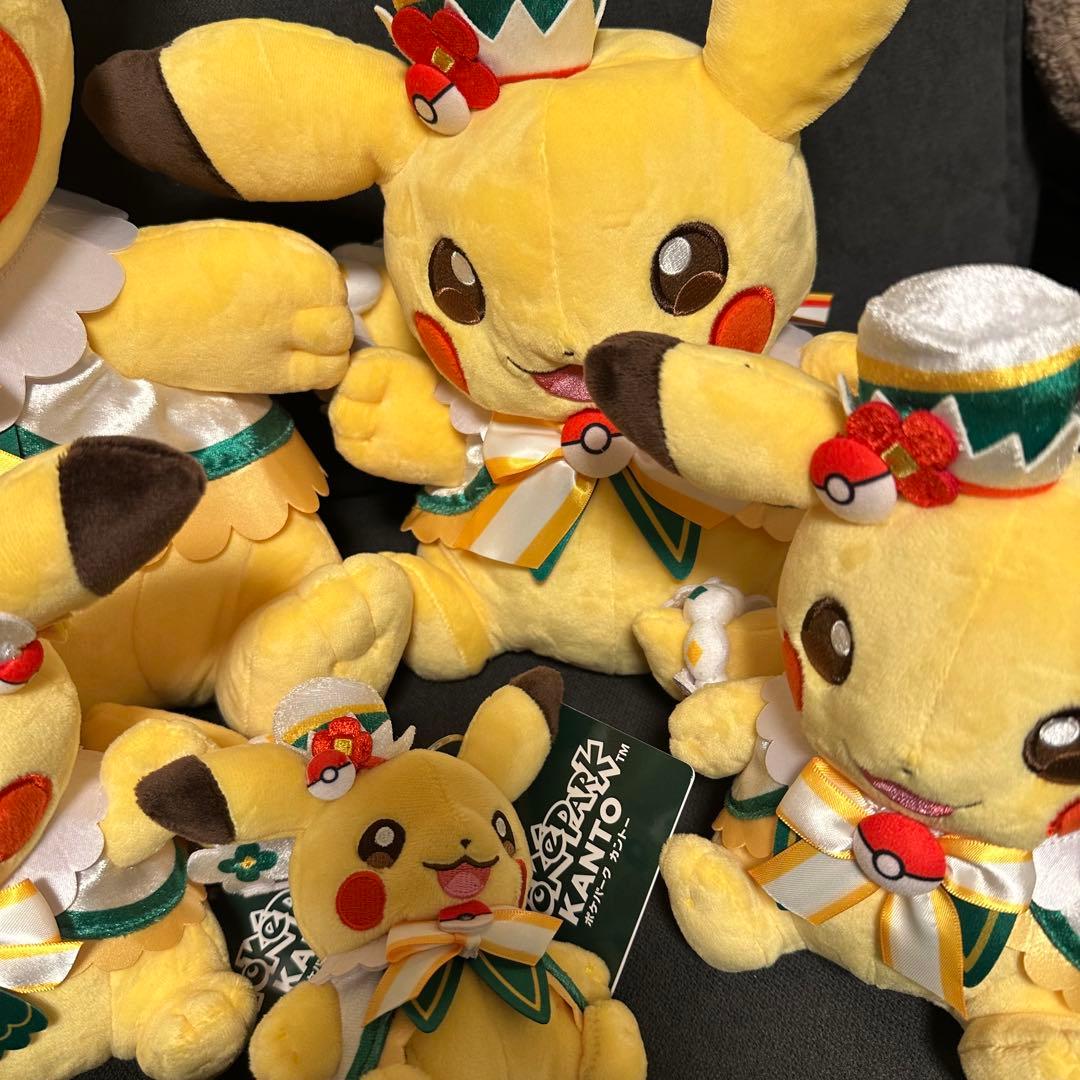 新品！　ポケパーク　カントー　 ショップ　限定 ピカチュウ　ぬいぐるみ5体セット
